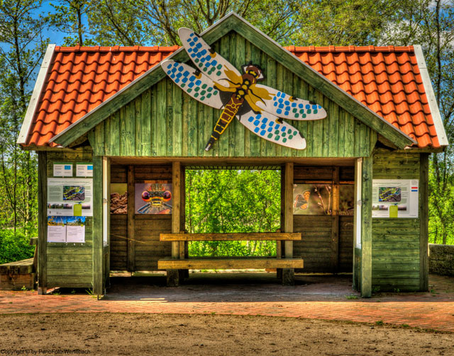 molbergen moorlehrpfad dausenmoorpad
