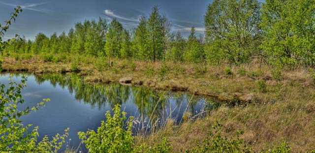 molbergen moorlehrpfad dausenmoorpad