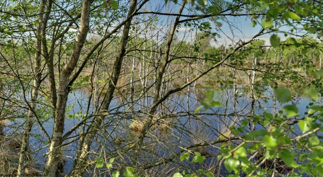 molbergen moorlehrpfad dausenmoorpad