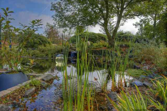 Bad Zwischenahn - Park der Gärten 26
