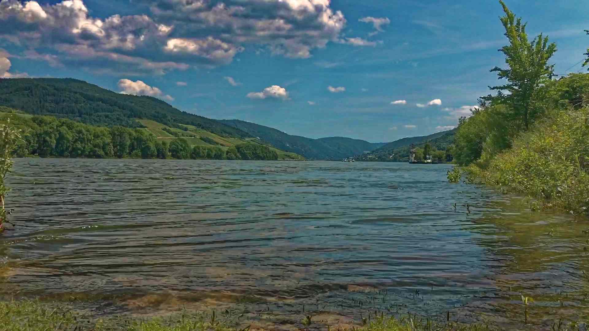 Impressionen vom Rhein - Zwischen Oppenheim und Koblenz